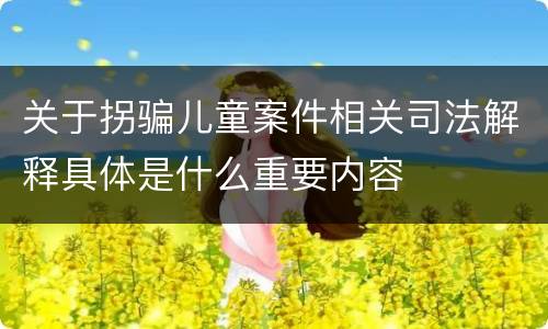 关于拐骗儿童案件相关司法解释具体是什么重要内容
