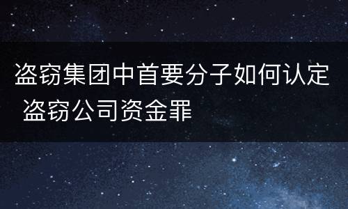 盗窃集团中首要分子如何认定 盗窃公司资金罪