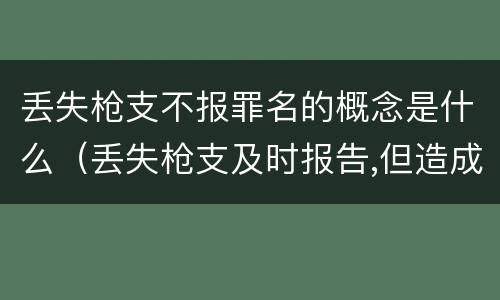丢失枪支不报罪名的概念是什么（丢失枪支及时报告,但造成严重后果）