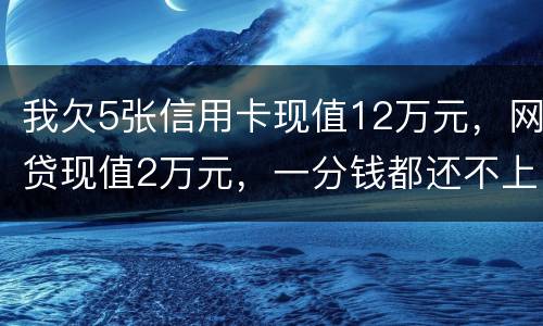 我欠5张信用卡现值12万元，网贷现值2万元，一分钱都还不上了，会判多少年