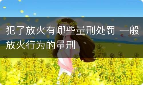 犯了放火有哪些量刑处罚 一般放火行为的量刑
