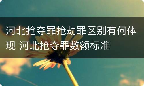 河北抢夺罪抢劫罪区别有何体现 河北抢夺罪数额标准