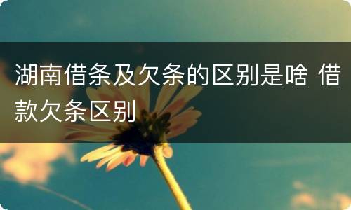 湖南借条及欠条的区别是啥 借款欠条区别