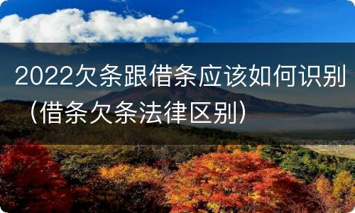 2022欠条跟借条应该如何识别（借条欠条法律区别）
