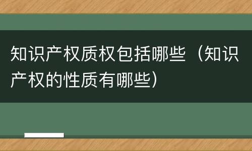 知识产权质权包括哪些（知识产权的性质有哪些）