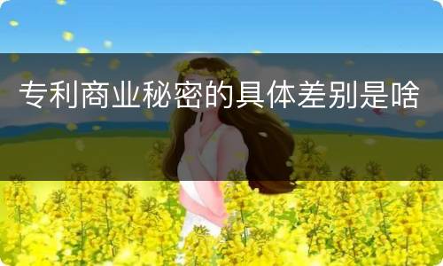 专利商业秘密的具体差别是啥