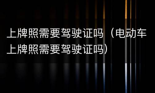 上牌照需要驾驶证吗（电动车上牌照需要驾驶证吗）