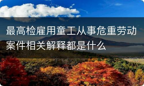 最高检雇用童工从事危重劳动案件相关解释都是什么