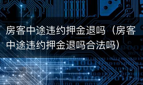 房客中途违约押金退吗（房客中途违约押金退吗合法吗）