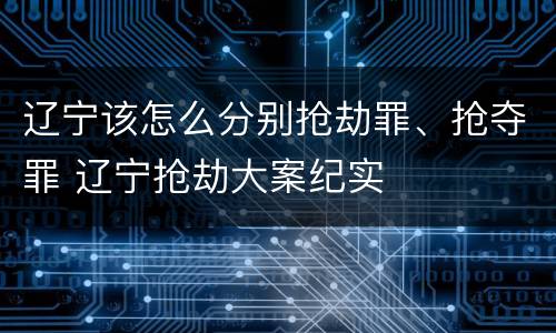 辽宁该怎么分别抢劫罪、抢夺罪 辽宁抢劫大案纪实