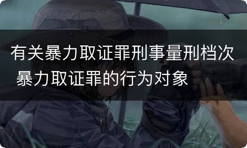 有关暴力取证罪刑事量刑档次 暴力取证罪的行为对象