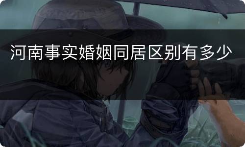 河南事实婚姻同居区别有多少