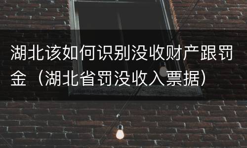 湖北该如何识别没收财产跟罚金（湖北省罚没收入票据）