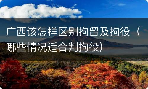 广西该怎样区别拘留及拘役（哪些情况适合判拘役）