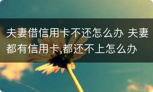 夫妻借信用卡不还怎么办 夫妻都有信用卡,都还不上怎么办