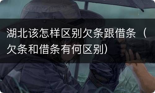 湖北该怎样区别欠条跟借条（欠条和借条有何区别）