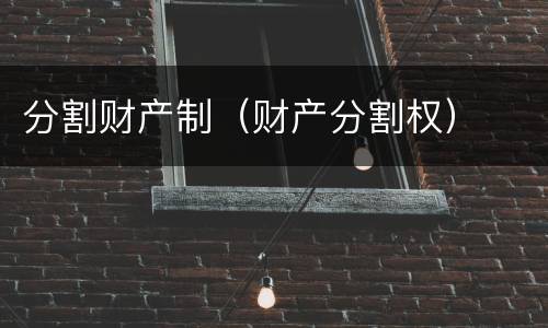 分割财产制（财产分割权）