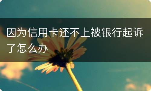 因为信用卡还不上被银行起诉了怎么办