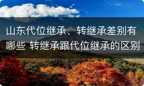 山东代位继承、转继承差别有哪些 转继承跟代位继承的区别