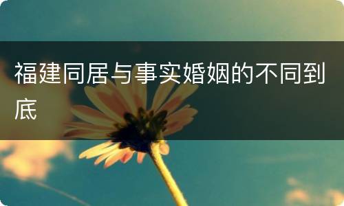 福建同居与事实婚姻的不同到底