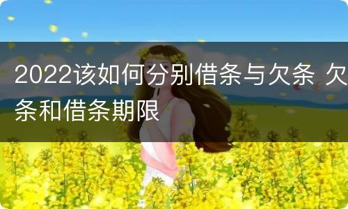 2022该如何分别借条与欠条 欠条和借条期限