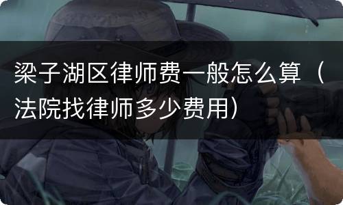 梁子湖区律师费一般怎么算（法院找律师多少费用）