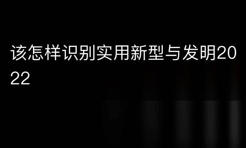该怎样识别实用新型与发明2022