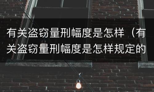 有关盗窃量刑幅度是怎样（有关盗窃量刑幅度是怎样规定的）