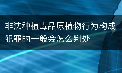 非法种植毒品原植物行为构成犯罪的一般会怎么判处