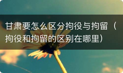 甘肃要怎么区分拘役与拘留（拘役和拘留的区别在哪里）