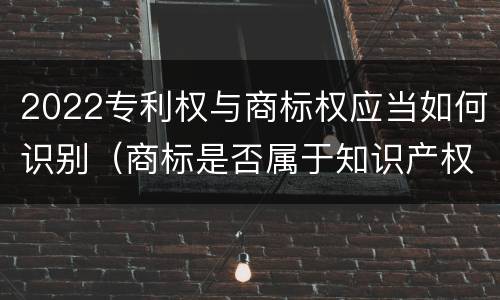 2022专利权与商标权应当如何识别（商标是否属于知识产权）