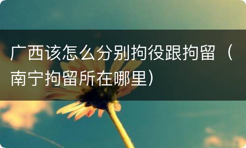 广西该怎么分别拘役跟拘留（南宁拘留所在哪里）