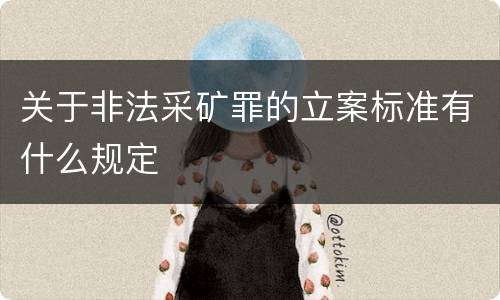 关于非法采矿罪的立案标准有什么规定