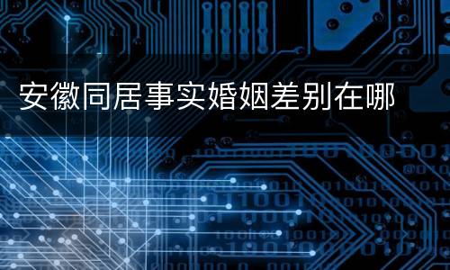 安徽同居事实婚姻差别在哪
