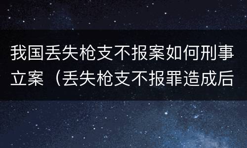 我国丢失枪支不报案如何刑事立案（丢失枪支不报罪造成后果）