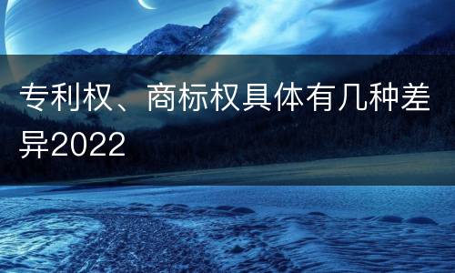 专利权、商标权具体有几种差异2022