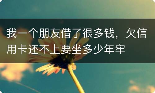 我一个朋友借了很多钱，欠信用卡还不上要坐多少年牢