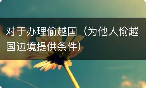 对于办理偷越国（为他人偷越国边境提供条件）