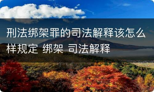刑法绑架罪的司法解释该怎么样规定 绑架 司法解释