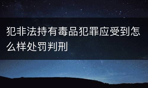犯非法持有毒品犯罪应受到怎么样处罚判刑