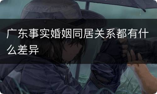 广东事实婚姻同居关系都有什么差异