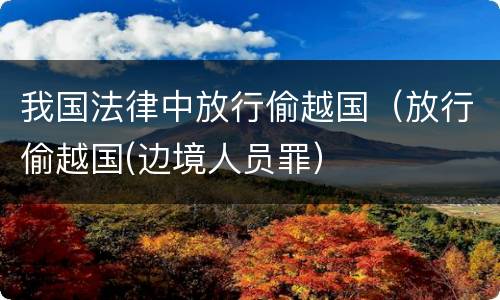 我国法律中放行偷越国（放行偷越国(边境人员罪）