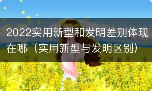 2022实用新型和发明差别体现在哪（实用新型与发明区别）