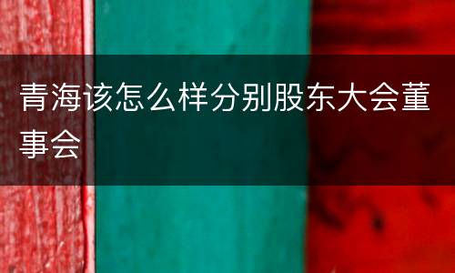 青海该怎么样分别股东大会董事会