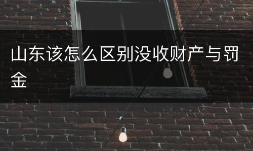 山东该怎么区别没收财产与罚金