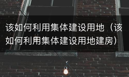 该如何利用集体建设用地（该如何利用集体建设用地建房）