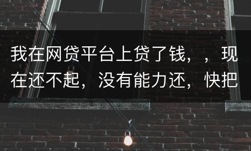 我在网贷平台上贷了钱，，现在还不起，没有能力还，快把家里人气死了，这可怎么办