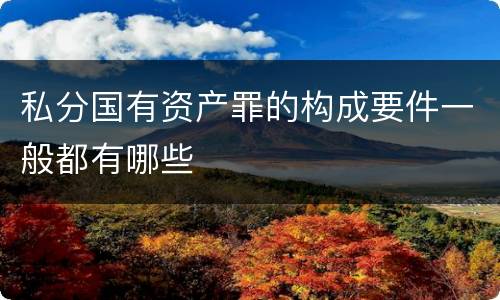 私分国有资产罪的构成要件一般都有哪些