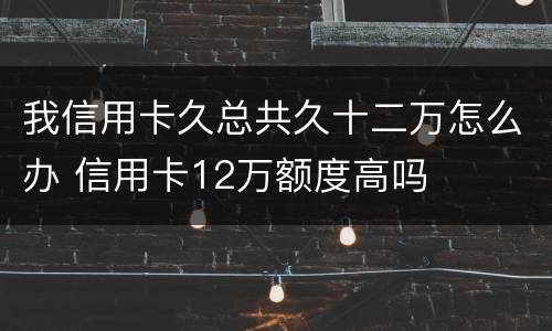 我信用卡久总共久十二万怎么办 信用卡12万额度高吗