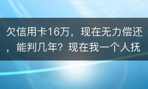 欠信用卡16万，现在无力偿还，能判几年？现在我一个人抚养孩子，判刑后孩子怎么办